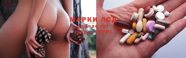 мяу мяу мука Арсеньев