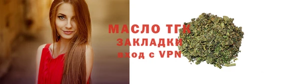 дмт Краснослободск