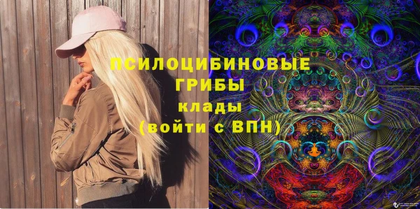 МДПВ Армянск