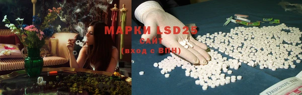 мяу мяу мука Арсеньев